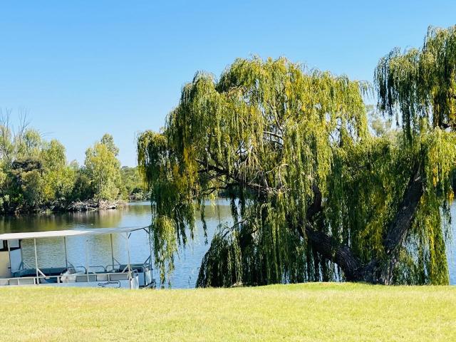 Land for sale in Koppies, Free State