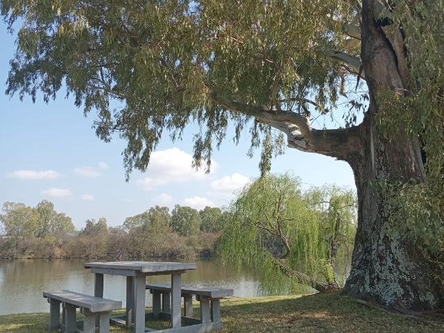 Land for sale in Koppies, Free State