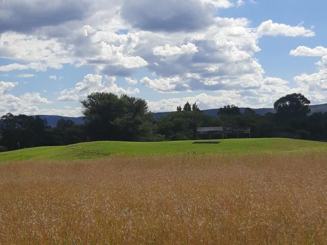 Land for sale in Koppies, Free State