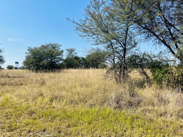 Land for sale in Koppies, Free State