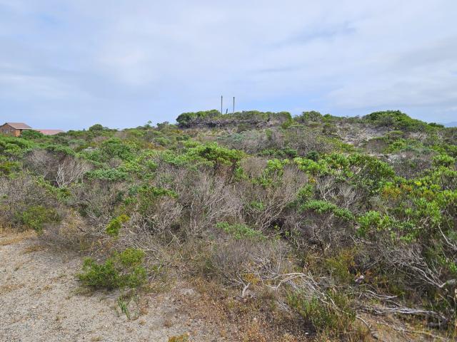 Land for sale in Baardskeerdersbos, Western Cape