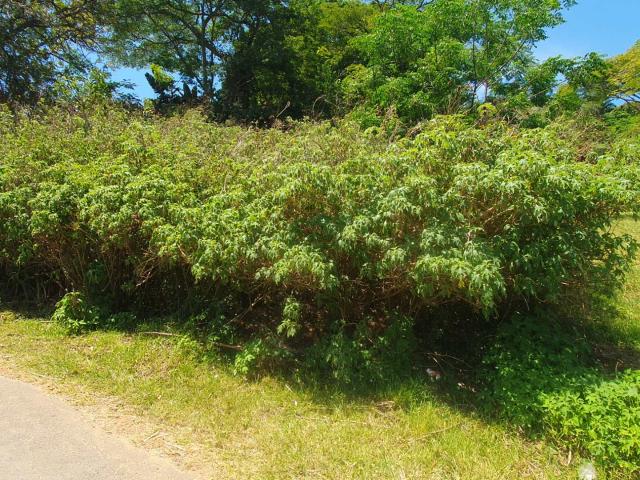 Land for sale in Ugu District Municipality, Kwazulu-natal