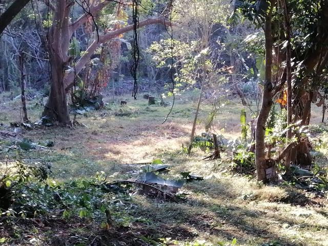 Land for sale in Ugu District Municipality, Kwazulu-natal