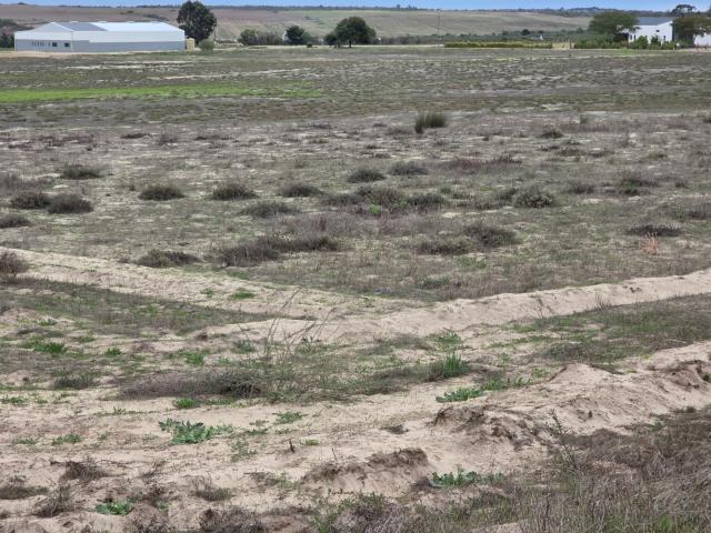 Land for sale in Philadelphia, Western Cape