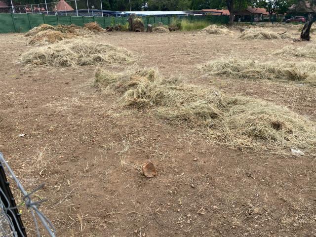 Land for sale in Seshego, Limpopo