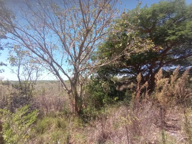 Land for sale in Dendron, Limpopo