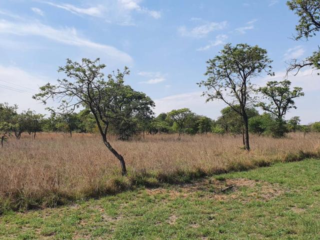Land for sale in Dendron, Limpopo