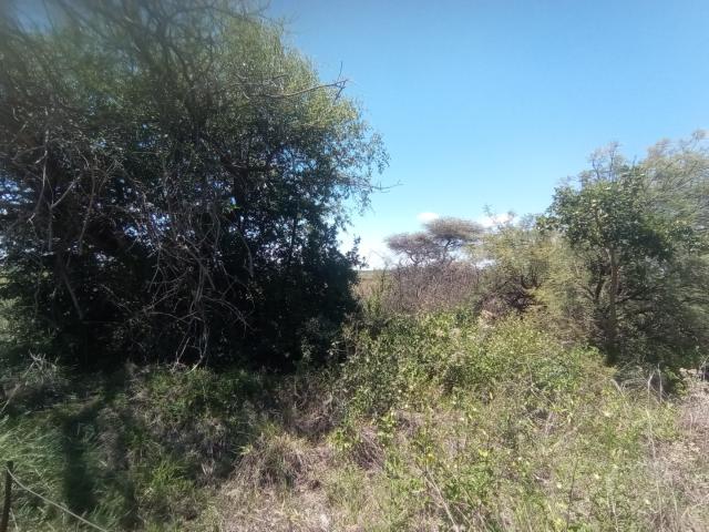 Land for sale in Dendron, Limpopo