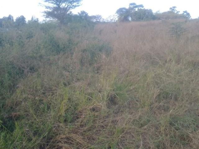 Land for sale in Mopani, Limpopo