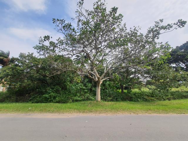 Land for sale in Ugu District Municipality, Kwazulu-natal
