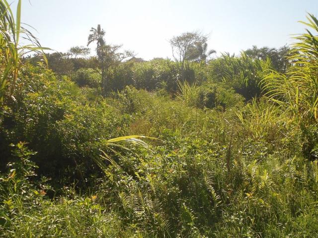 Land for sale in Ugu District Municipality, Kwazulu-natal