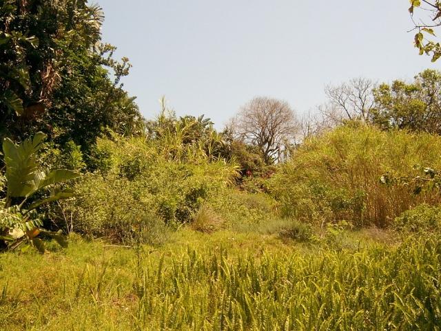 Land for sale in Ugu District Municipality, Kwazulu-natal