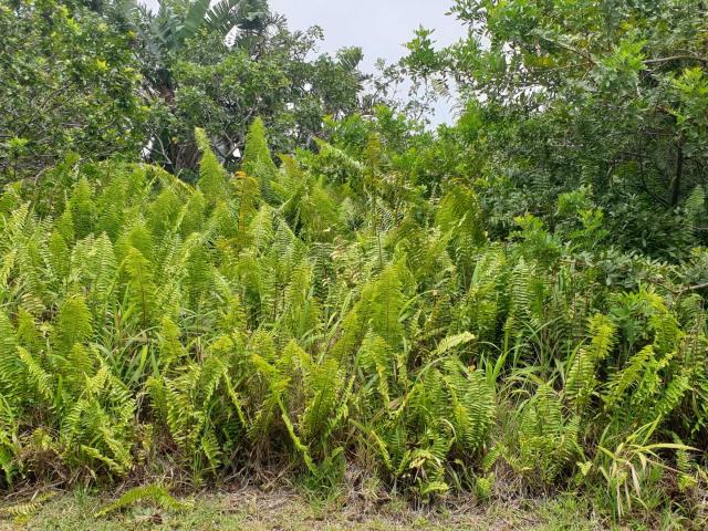 Land for sale in Ugu District Municipality, Kwazulu-natal