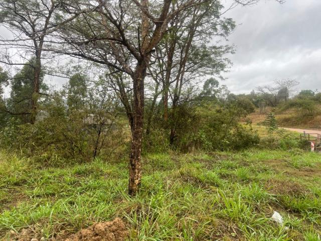 Land for sale in Mopani, Limpopo