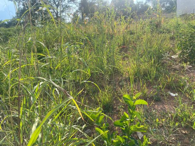 Land for sale in Mopani, Limpopo