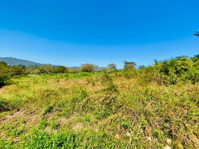 Land for sale in Mopani, Limpopo