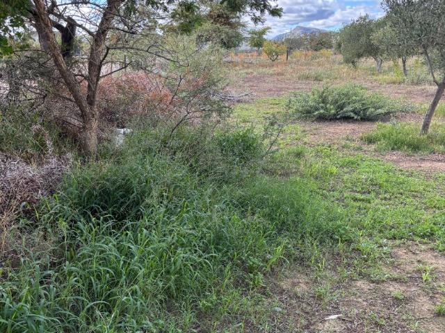Land for sale in Prince Albert, Western Cape
