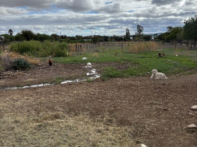 Land for sale in Prince Albert, Western Cape