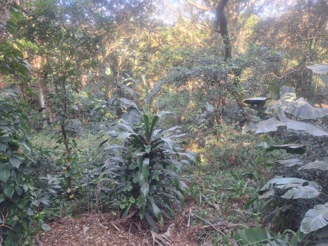 Land for sale in Ugu District Municipality, Kwazulu-natal