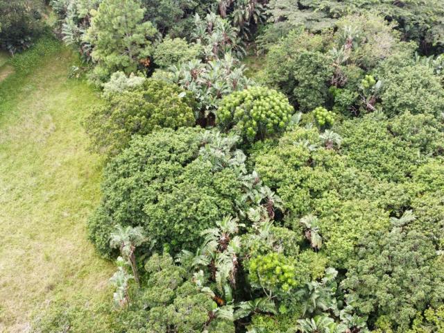 Land for sale in Ugu District Municipality, Kwazulu-natal