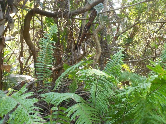 Land for sale in Ugu District Municipality, Kwazulu-natal