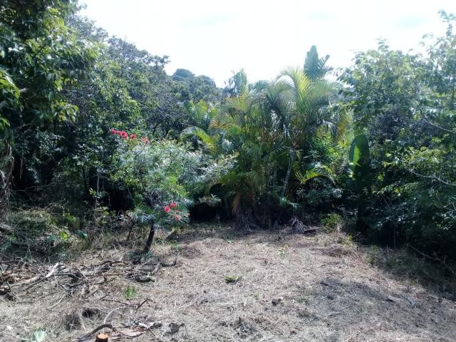 Land for sale in Ugu District Municipality, Kwazulu-natal