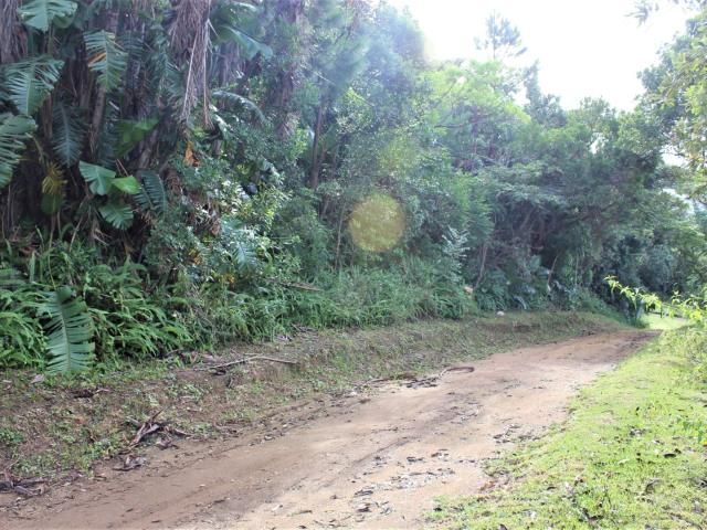 Land for sale in Ugu District Municipality, Kwazulu-natal