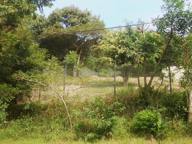 Land for sale in Margate, Kwazulu-natal