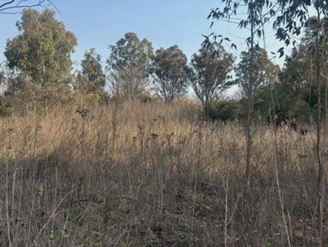 Land for sale in Gauteng