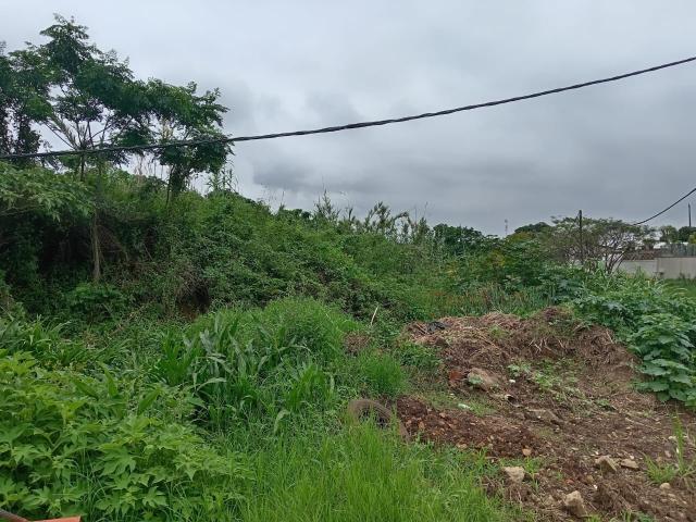 Land for sale in Mount Moreland, Kwazulu-natal