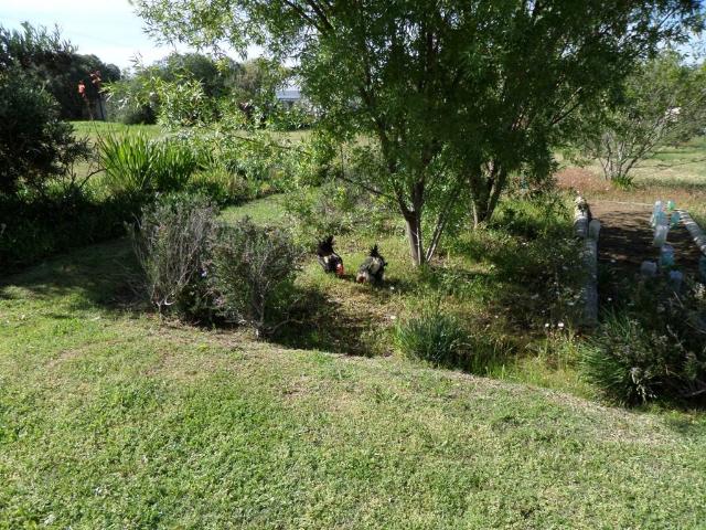 Land for sale in West Coast, Riebeeck Valley