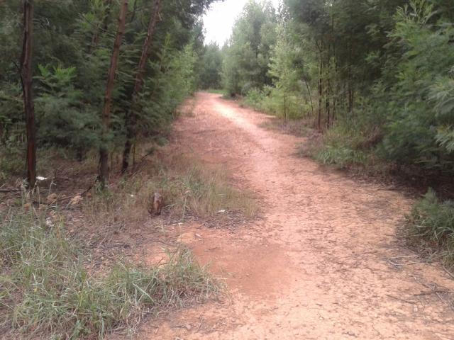 Land for sale in Gauteng