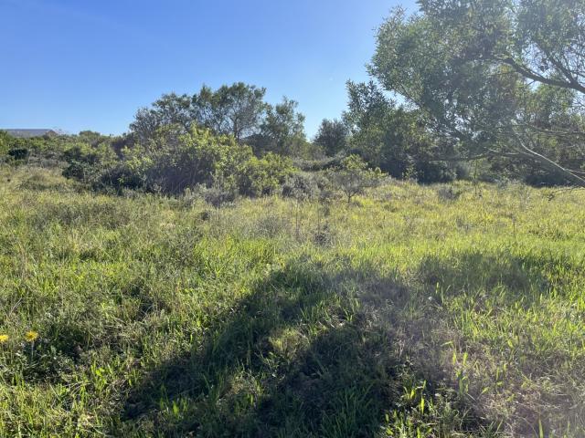 Land for sale in Bushmans River Mouth, Eastern Cape