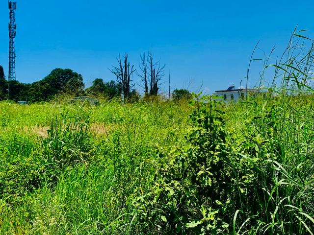 Land for sale in Mopani, Limpopo
