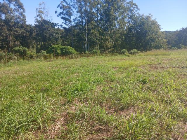 Land for sale in Mopani, Limpopo
