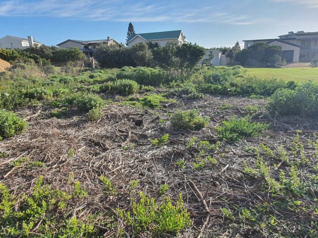 Land for sale in Baardskeerdersbos, Western Cape