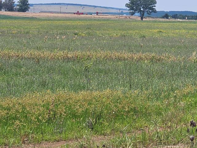 Land for sale in Tlhabane, North West