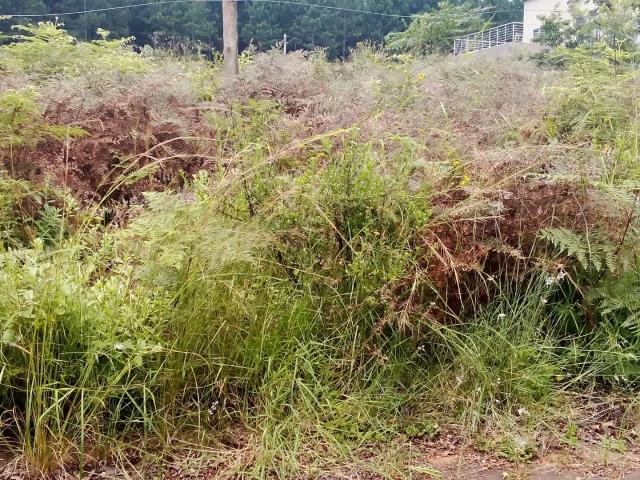 Land for sale in Ehlanzeni, Mpumalanga