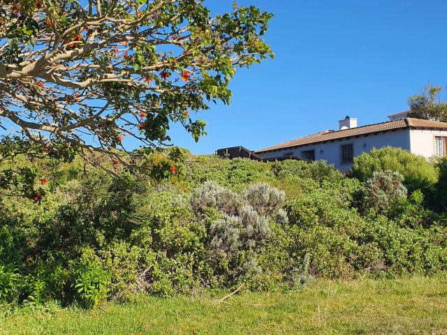 Land for sale in Cape St Francis, Eastern Cape