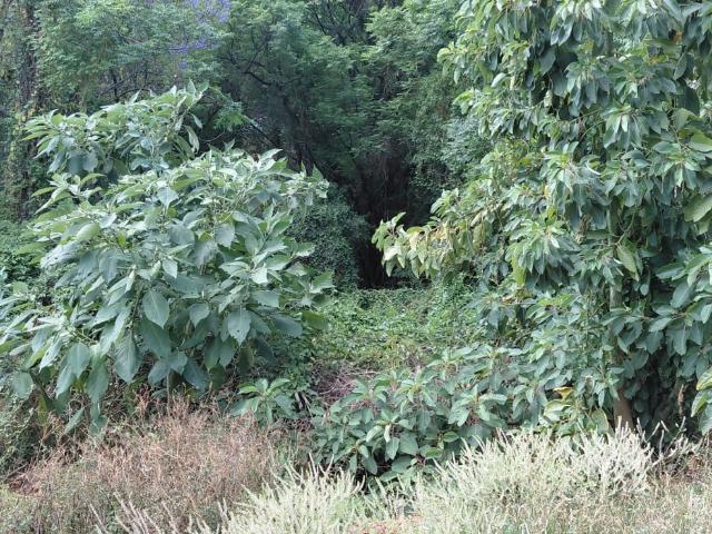 Land for sale in Hartbeespoort Dam Nature Reserve, North West
