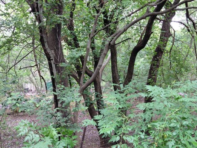 Land for sale in Hartbeespoort Dam Nature Reserve, North West