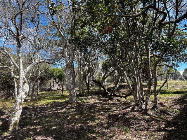 Land for sale in Bushmans River Mouth, Eastern Cape