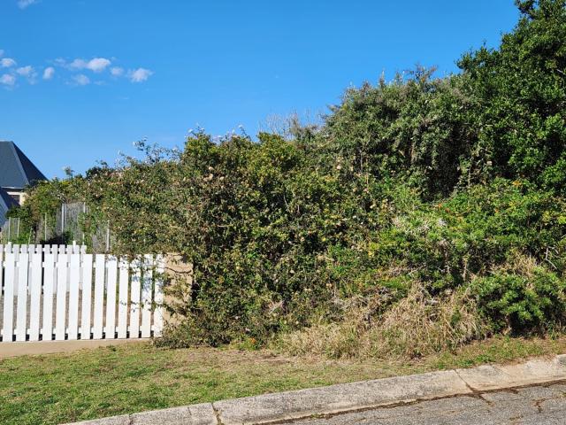 Land for sale in Bushmans River Mouth, Eastern Cape