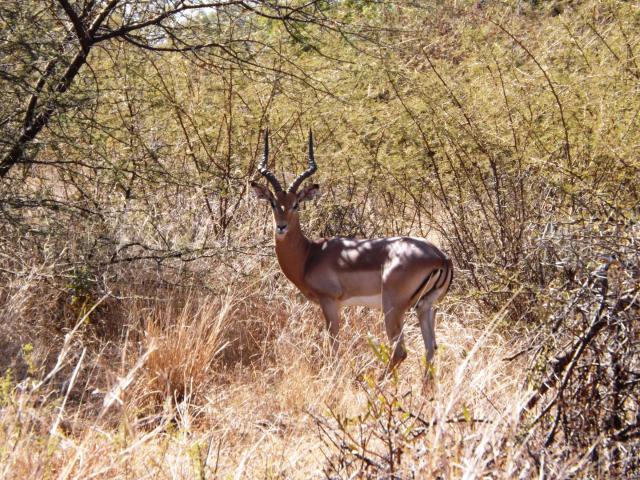 Land for sale in Hartbeespoort Dam Nature Reserve, North West