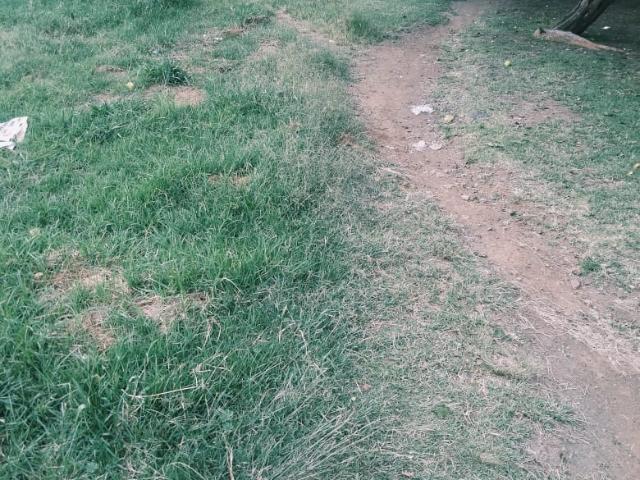 Land for sale in Gert Sibande, Mpumalanga