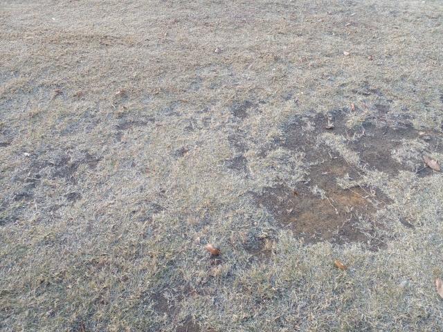 Land for sale in Gert Sibande, Mpumalanga