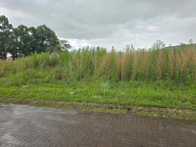 Land for sale in Gert Sibande, Mpumalanga