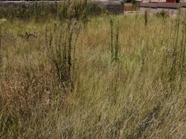 Land for sale in Seshego, Limpopo