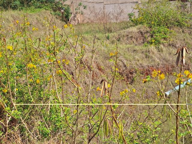 Land for sale in Princess Grant, Kwazulu-natal