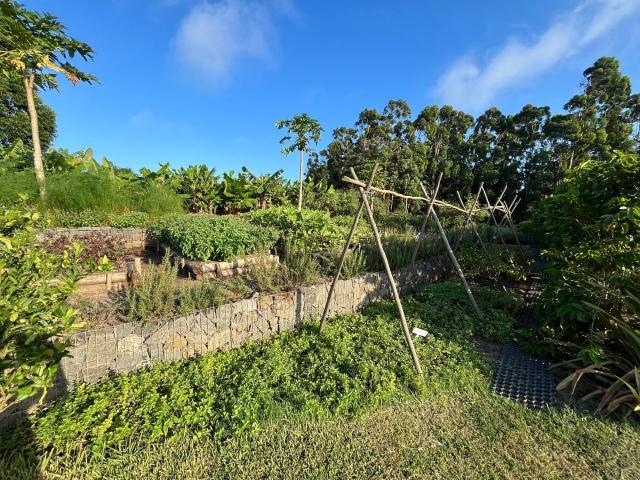 Land for sale in Princess Grant, Kwazulu-natal